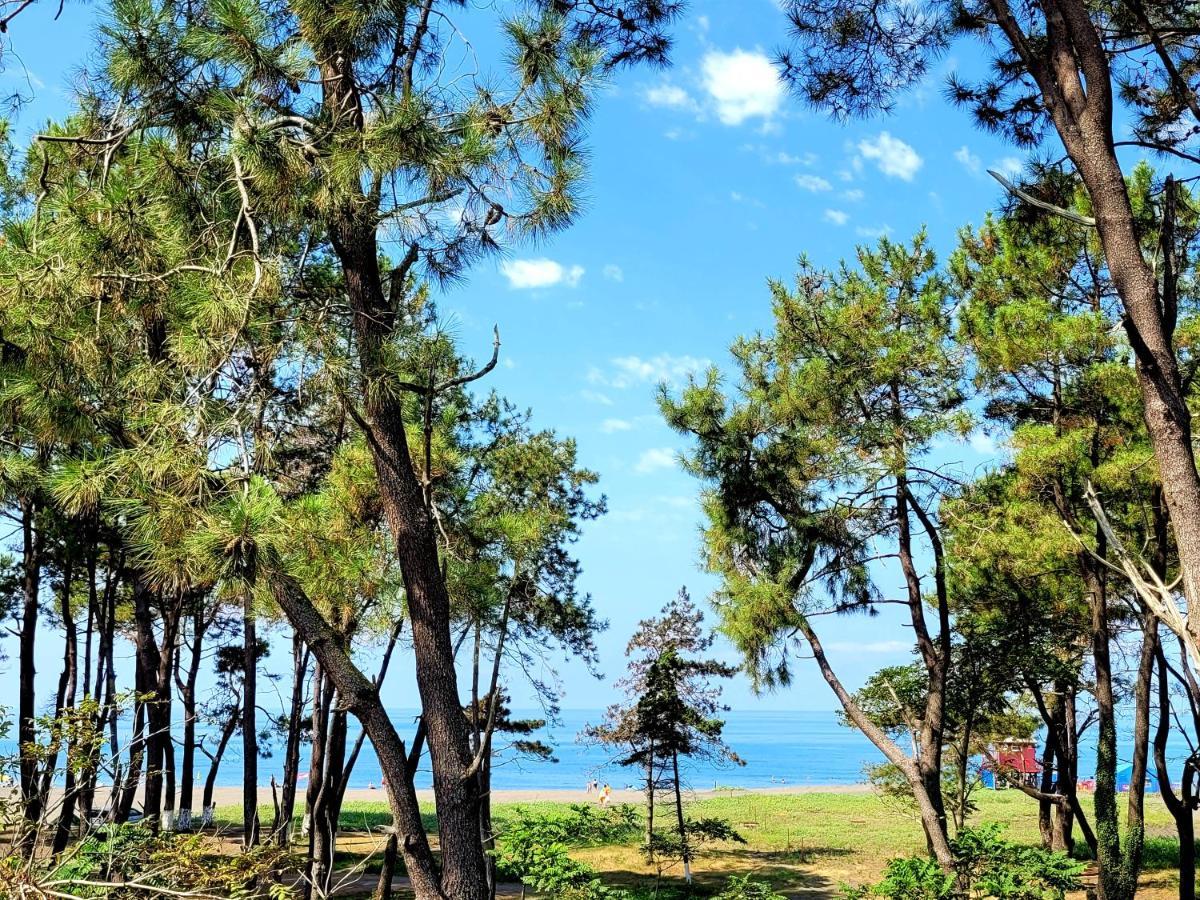 Beachfront Apartments ,,Kapro-One,, ウレキ エクステリア 写真